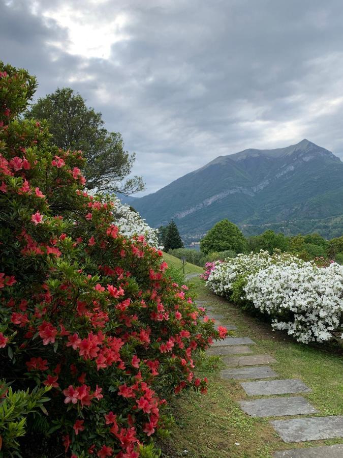 Il Poggio Di Bellagio Aparthotel Екстериор снимка